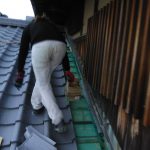 寝屋川市にて屋根修理（葺き替え工事）